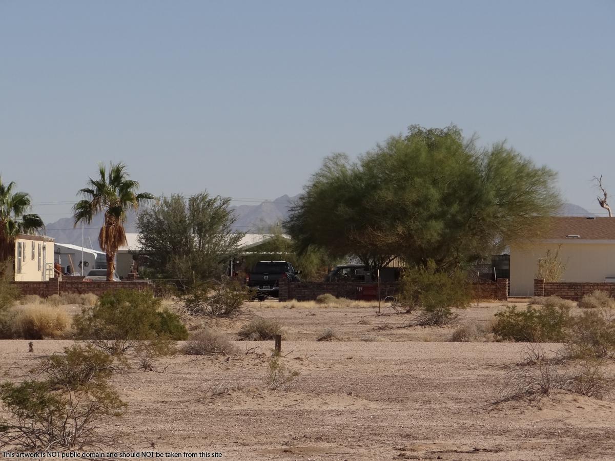 0.25 acres land for sale in Tacna, AZ